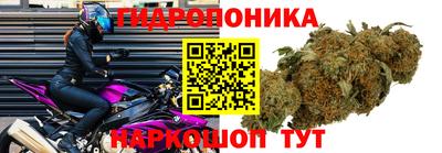 2c-b Абакан