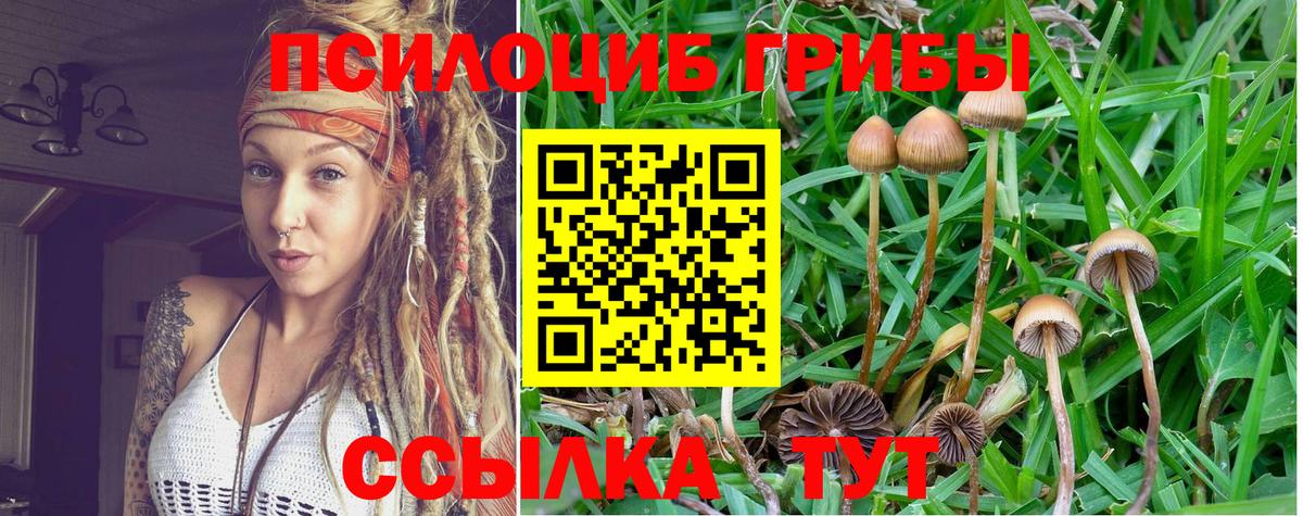 Псилоцибиновые грибы ЛСД Алексеевка