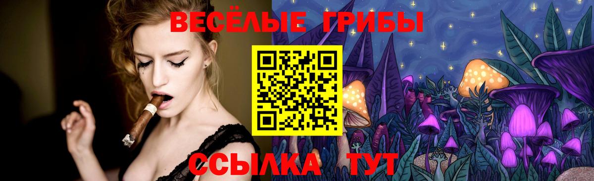 Алексеевка  Галлюциногенные грибы Magic Shrooms  Вход с VPN 
